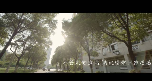 微信图片_20170609103824.jpg