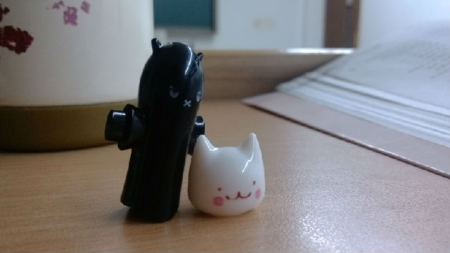 小黑小白.jpg