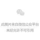 情人节分割线