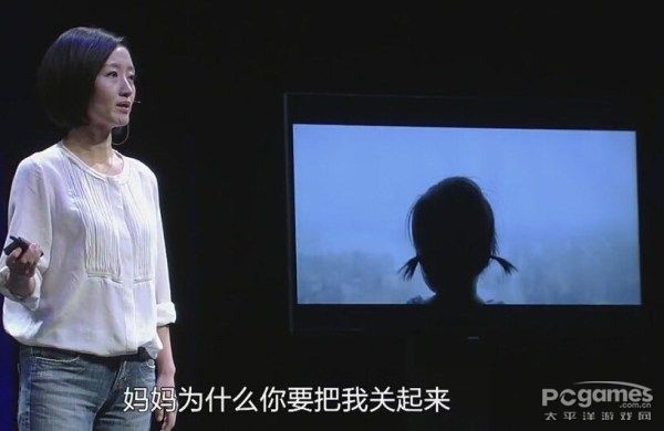 柴静1.jpg